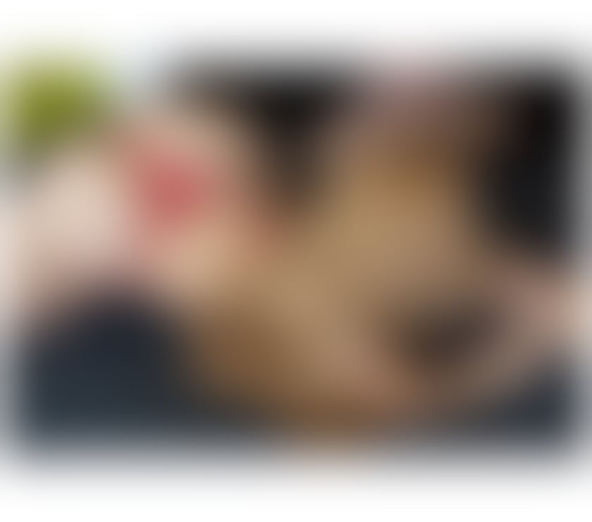 Escort Chatham Medway - Kent - Photos for HOT JADE 🔥😈 PARTY GIRL 🥳🥳