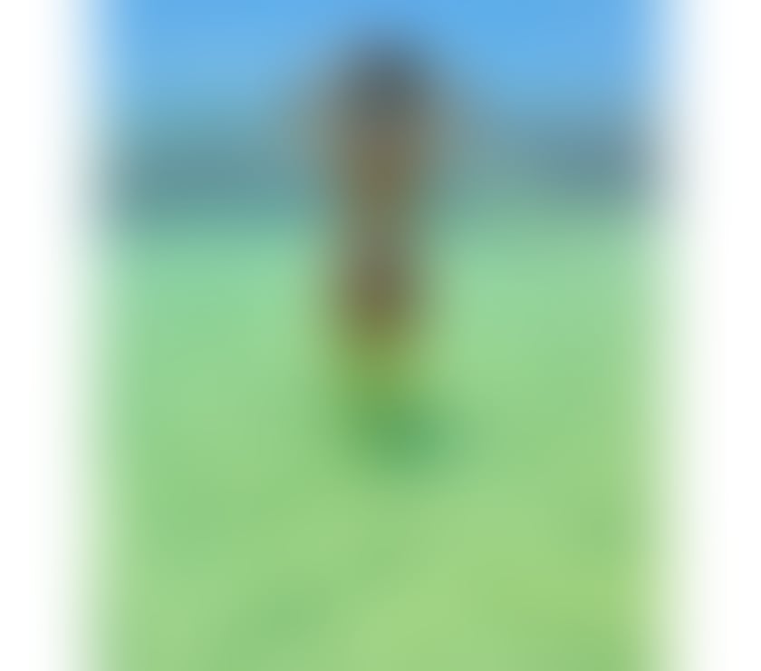 Escorts Newport - Wales Newport City Centre - Newport - Photos for Bea new spicy Brazilian girl no rush Just slow touch 🫦