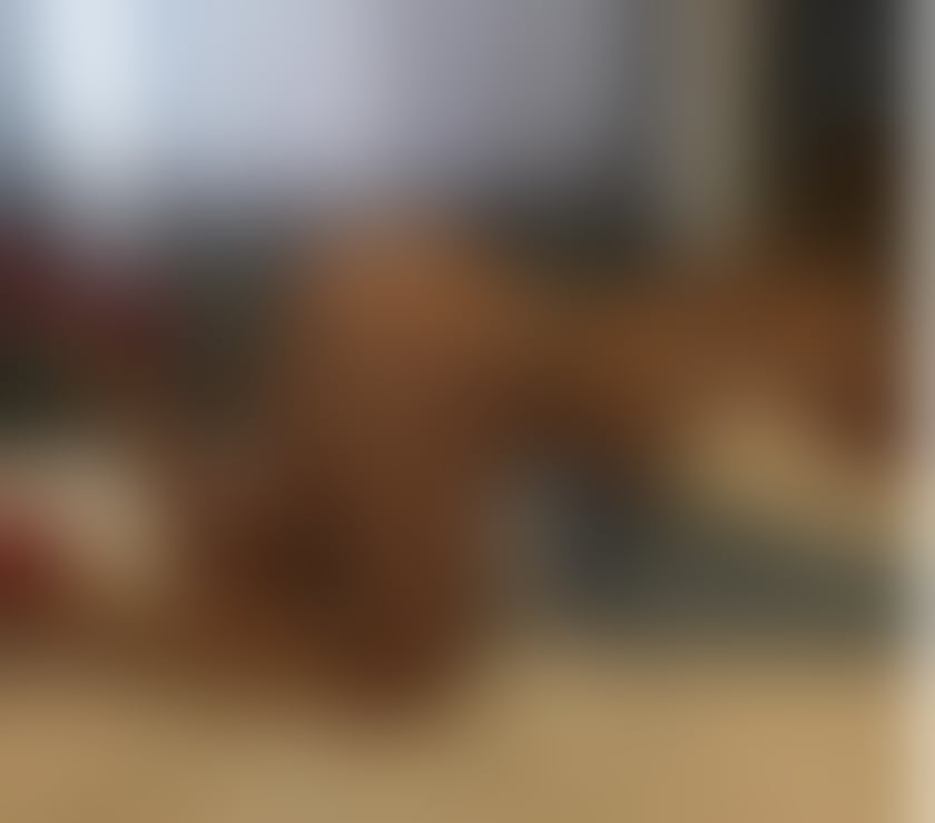 Escorts Bristol Fishponds - Bristol - Photos for Karla 🍀 in & out ‼️