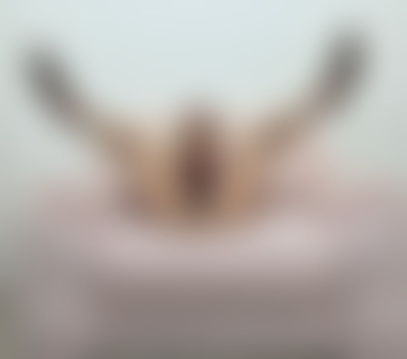 Escorts Norfolk King's Lynn and West Norfolk - Photos for Best service 🥰📷100% REAL incall&outcall