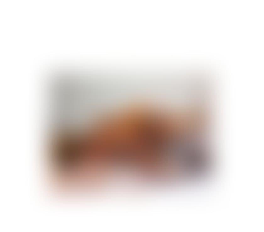 Trans Escorts Wiltshire Swindon - Photos for 🇧🇷TS BLACK Model🇧🇷