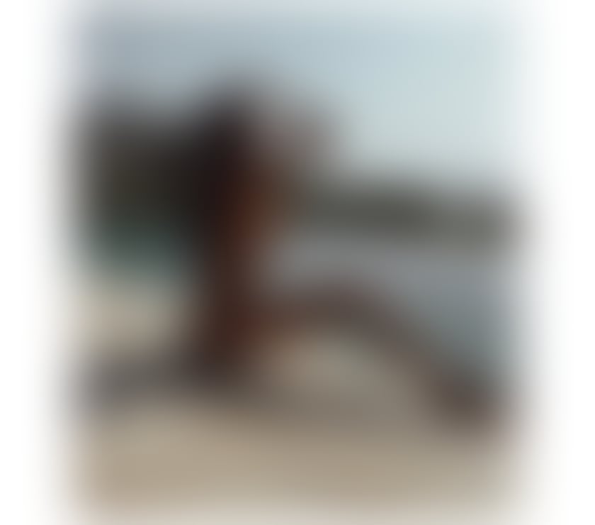 Escorts Hampshire Portsmouth - Photos for JESSICA NEW IN TOWN , PARTY GIRL