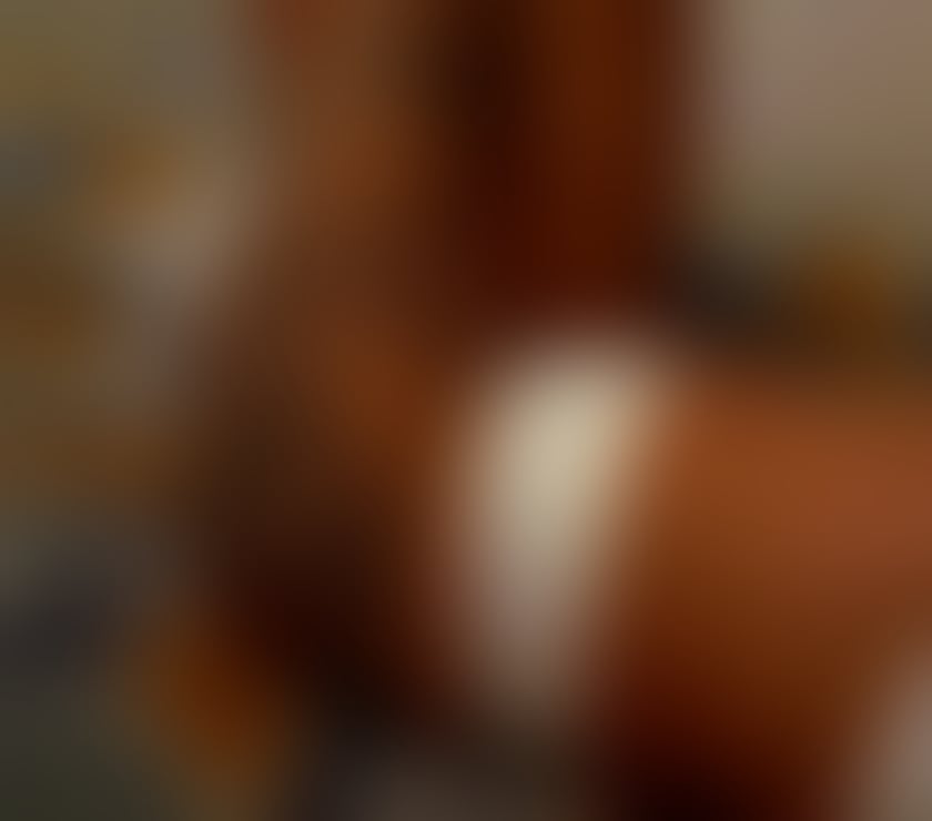 Escorts Bristol City Centre Bristol - Photos for New in your town❤️Party girl 🔥Ayla❤️