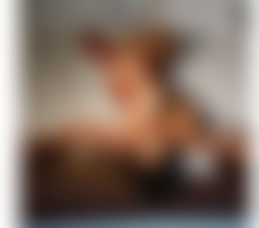 Escorts North London Upper Edmonton - North London - Photos for Bella 🔥gfe best service 💥 party girl🇧🇷