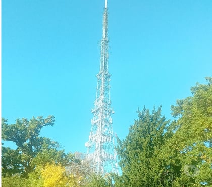 Gay Dating Crystal Palace South East London - Photos for Acom anytime, walk in fun and relief