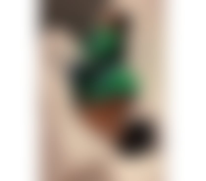 NEW girl ❤️ in town Indian mixt party 🥳