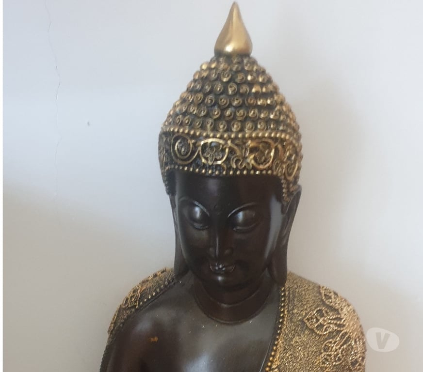 Escorts Somerset Yeovil - Somerset - Photos for Sofial holistic massage