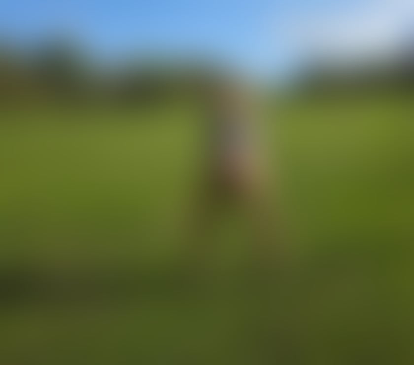 Escorts Cumberland Carlisle - Cumberland - Photos for HELEN FIRST TIME PARTY GIRL