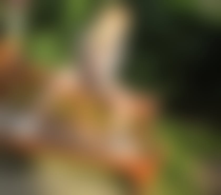 Escorts Cumberland Carlisle - Cumberland - Photos for HELEN FIRST TIME PARTY GIRL