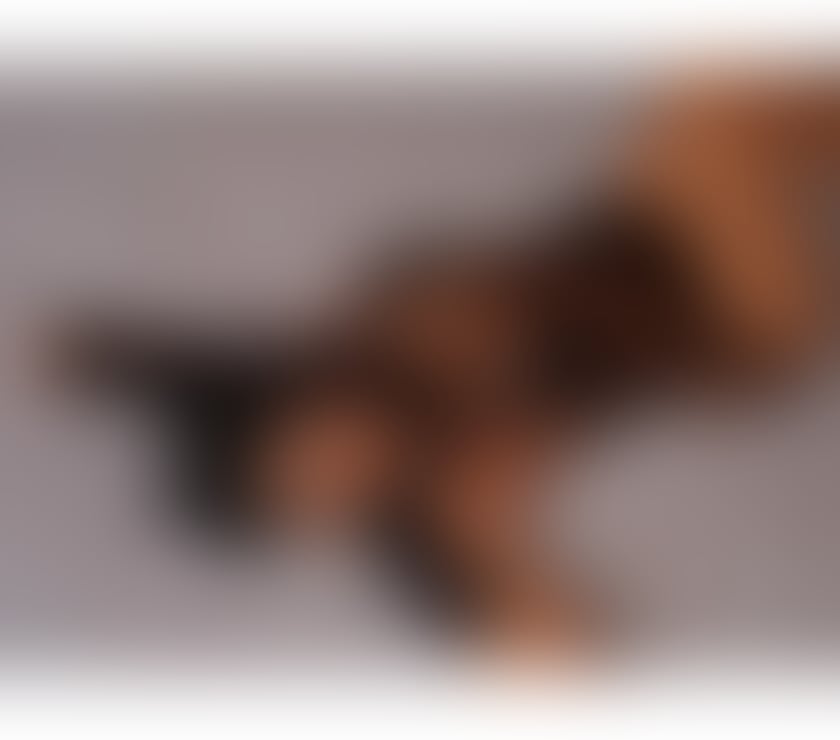 Best outcall and incall ❤️🔥 Call me anytime