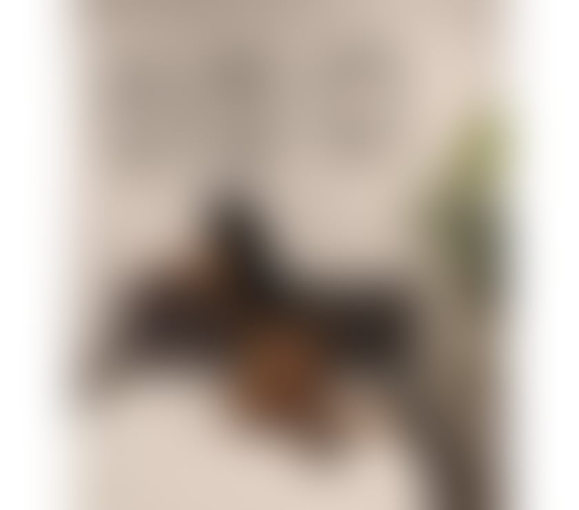 Escorts Tyne and Wear Newcastle upon Tyne - Photos for NEW PARTY GIRL ❤️ADONIA❤️INDEPENDENT!!