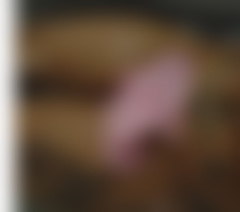 Escorts West Yorkshire Bradford - Photos for Eva 🌹 Black African 🖤