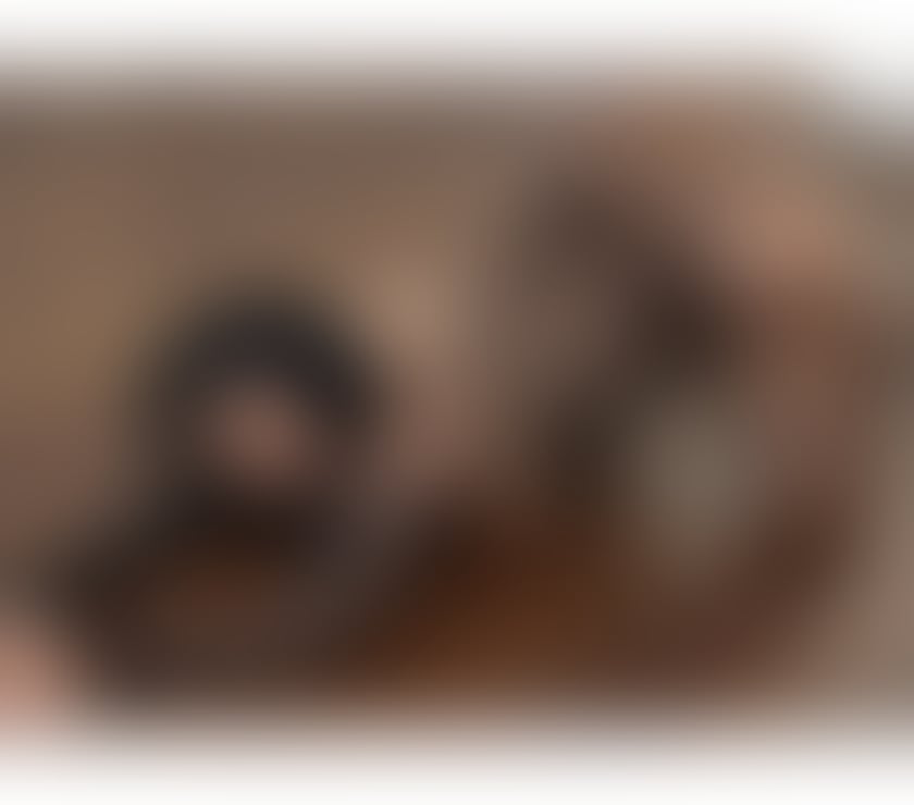 Escorts Somerset Yeovil - Somerset - Photos for Naughty Hijabi girl Rihanna🫶🏽👅1 week only !