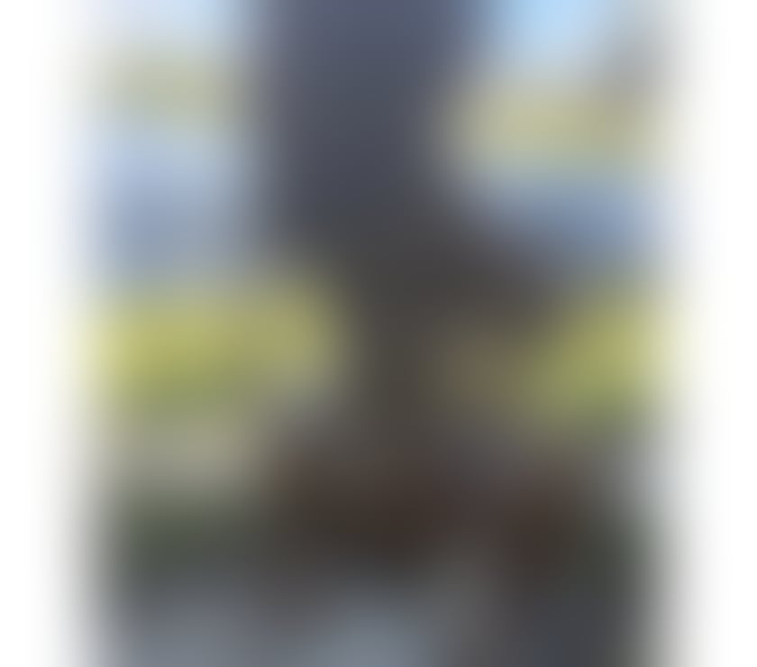 Escorts Bow East London - Photos for ✅ LARISSA GIRL BRAZIL❤️✅