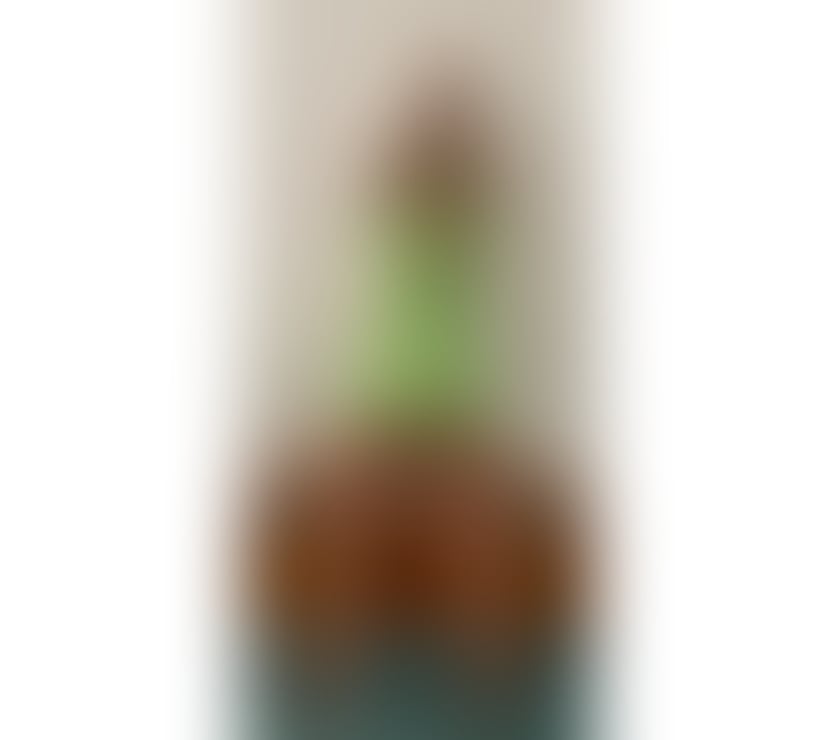 Escorts Worcestershire Wyre Forest - Photos for JUDY +447429239894 DY10