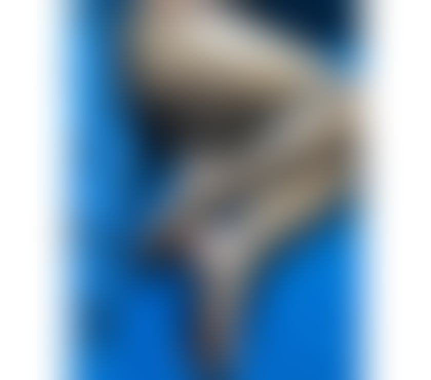 Escorts Kent Canterbury - Photos for Hi im Rose just arrived in your City 💕