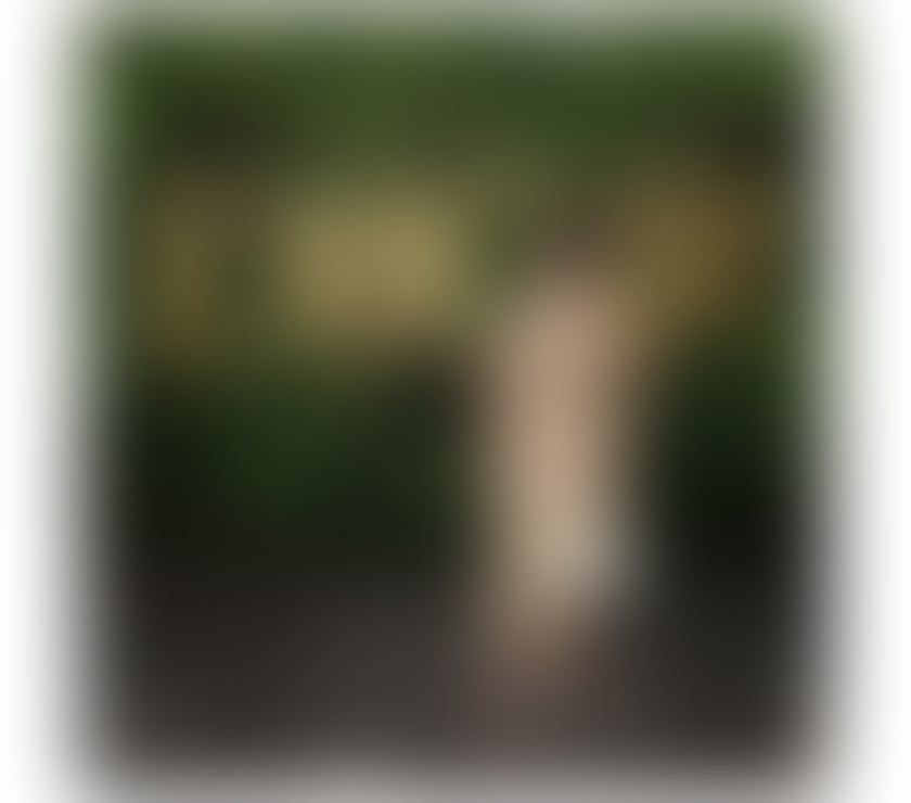 Photos for TOP BRAZILIAN ESCORT ALICE ❤️