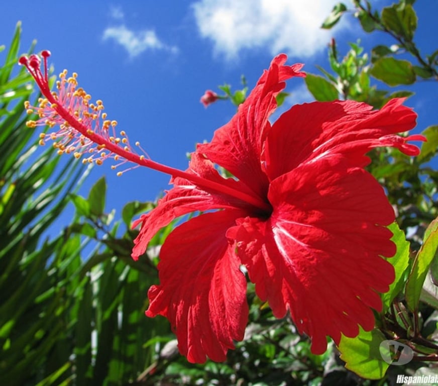 Full body massage North London Finsbury Park - North London - Photos for Special Massage for mature ladies only (outcalls)