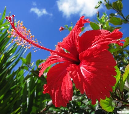 Massage Finsbury Park North London - Photos for Special Massage for mature ladies only (outcalls)