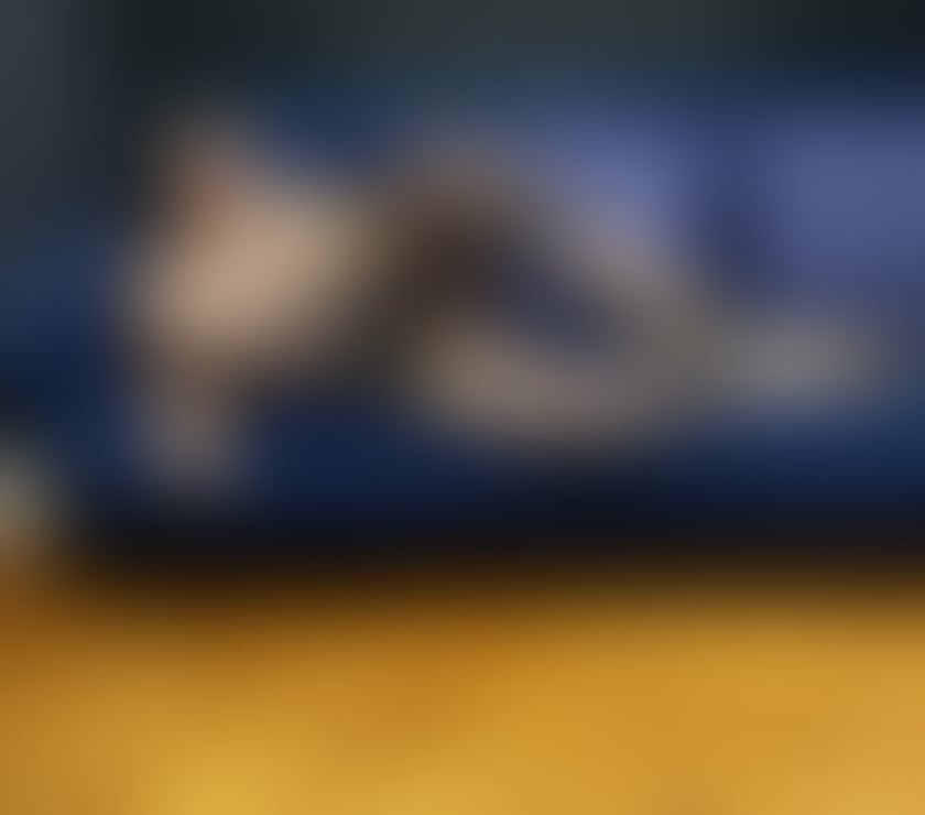 Escorts Arnos Grove North London - Photos for ❤️Karla new tonw❤️