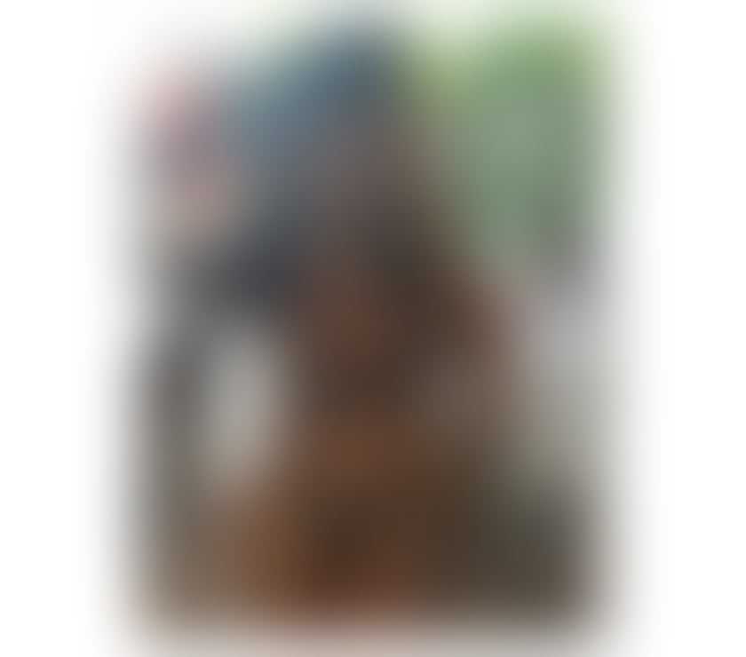 Escorts Warwickshire Warwick - Photos for THAINY💖FROM THE PHILIPPINES💕