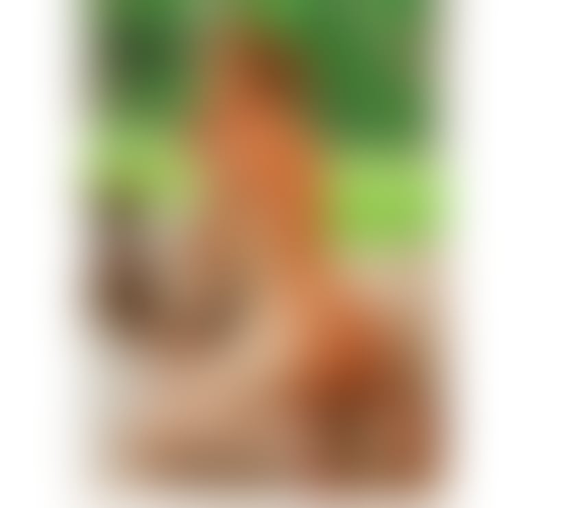 🍆❤️CATALINA HOT ASS GFE PARTY GIRL ❤️🍆