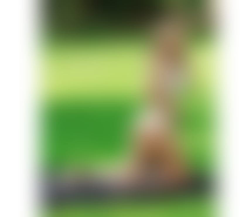 Escorts Edinburgh Edinburgh - Edinburgh - Photos for 🍆❤️CATALINA HOT ASS GFE PARTY GIRL ❤️🍆