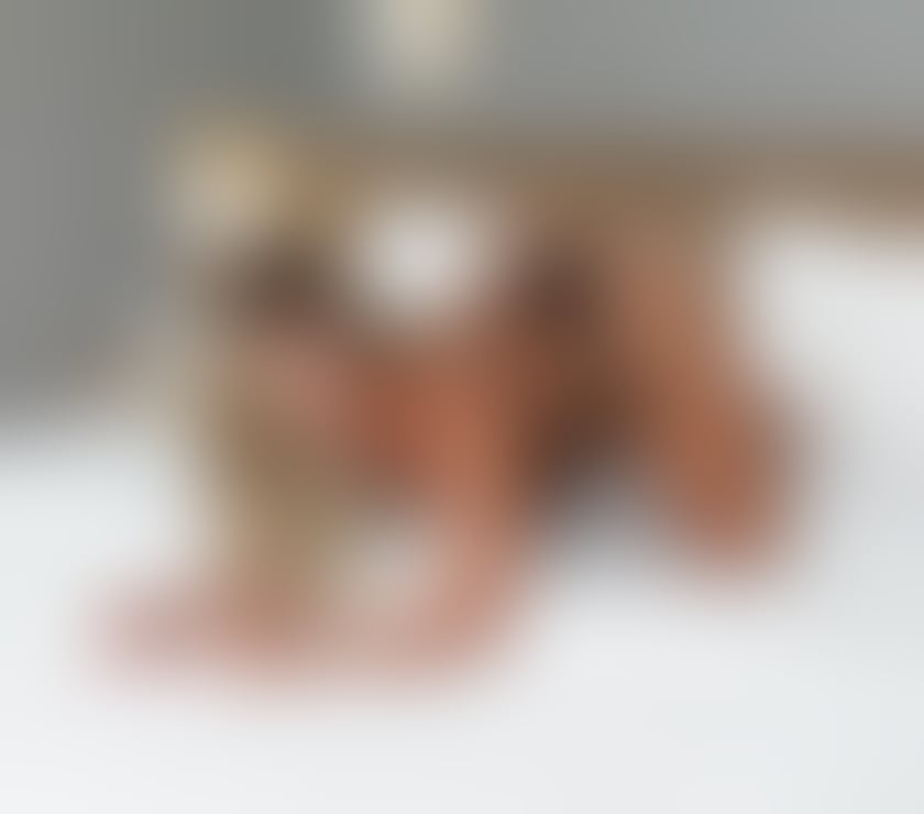 Escorts North West London Harrow - Photos for Pri💝 Party girl🍭🍁 Sexy girl🔥