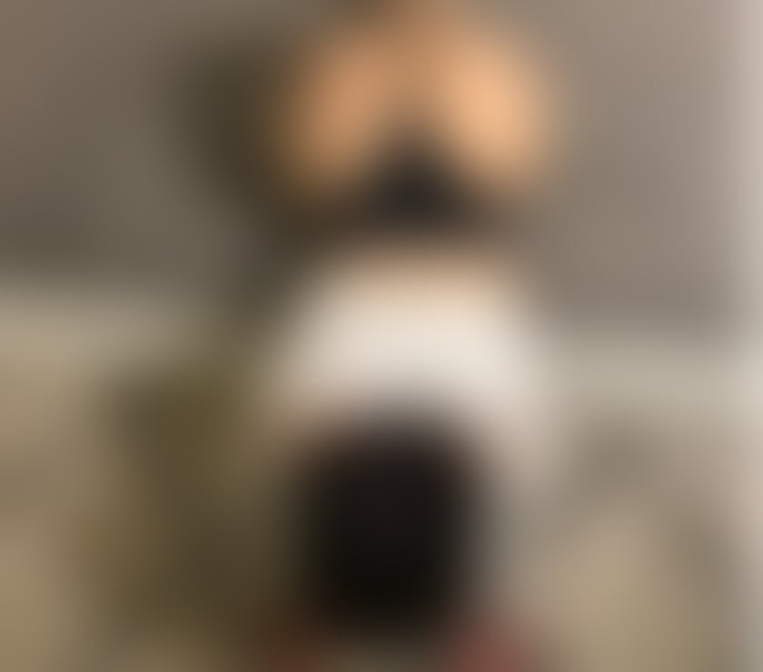 Escorts Belfast Andersonstown - Belfast - Photos for NEW 🔞 HIGH CLASS NAUGHTY BRUNETTE 👅🍑