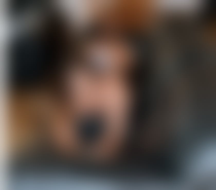 Trans Escorts Shropshire Stoke on Tern - Shropshire - Photos for NATASHA TS ONLY OUTCALLS PARTY