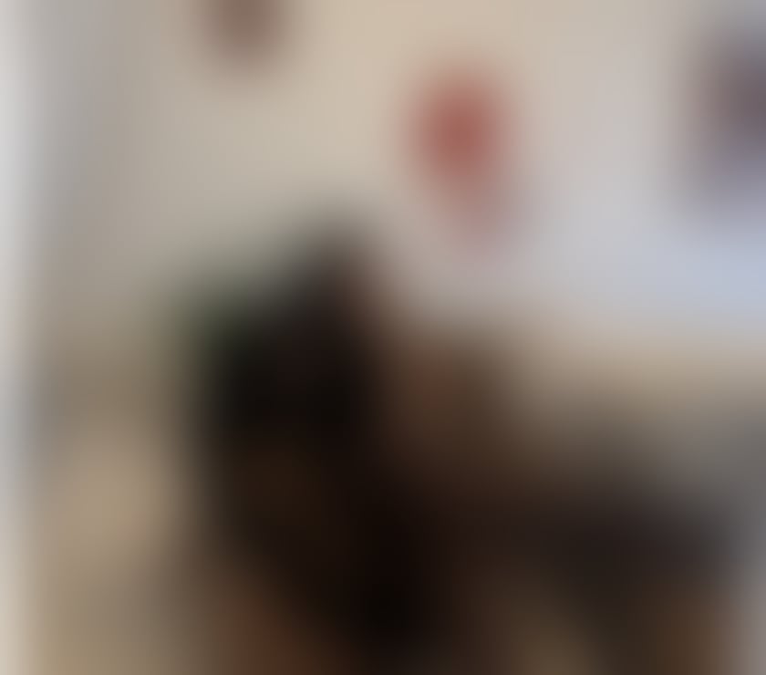 Escorts Tyne and Wear Sunderland - Photos for New🍾 in the ❤️‍🔥town❤️ stefi💯