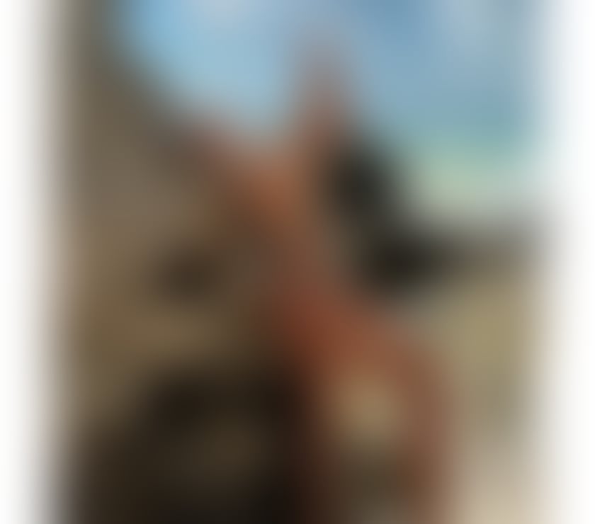 Escorts East Sussex Hastings - Photos for 💕Natalia 💕NEW💕100%REAl💕PARTY GIRL💕