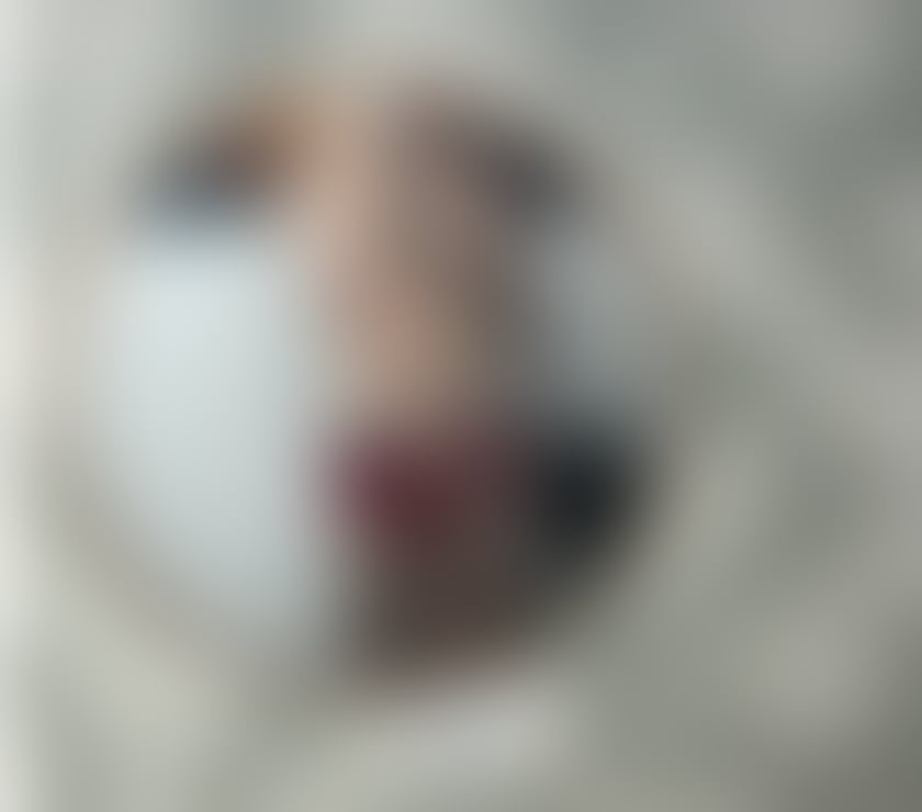  Gay massage Cardiff Cardiff City Centre - Cardiff - Photos for Tall, nice welsh lad