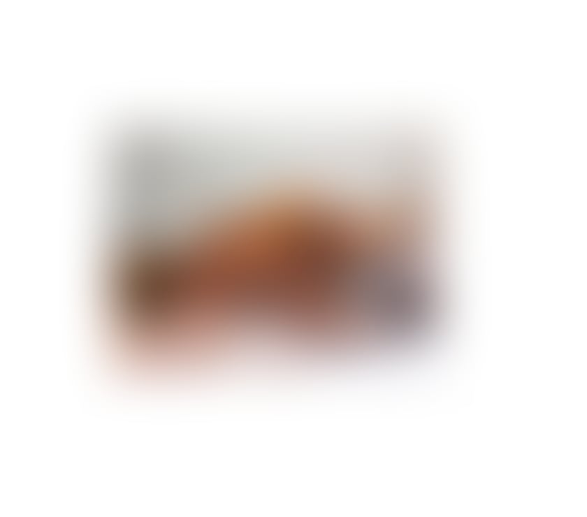 🇧🇷TS BLACK MODEL🇧🇷