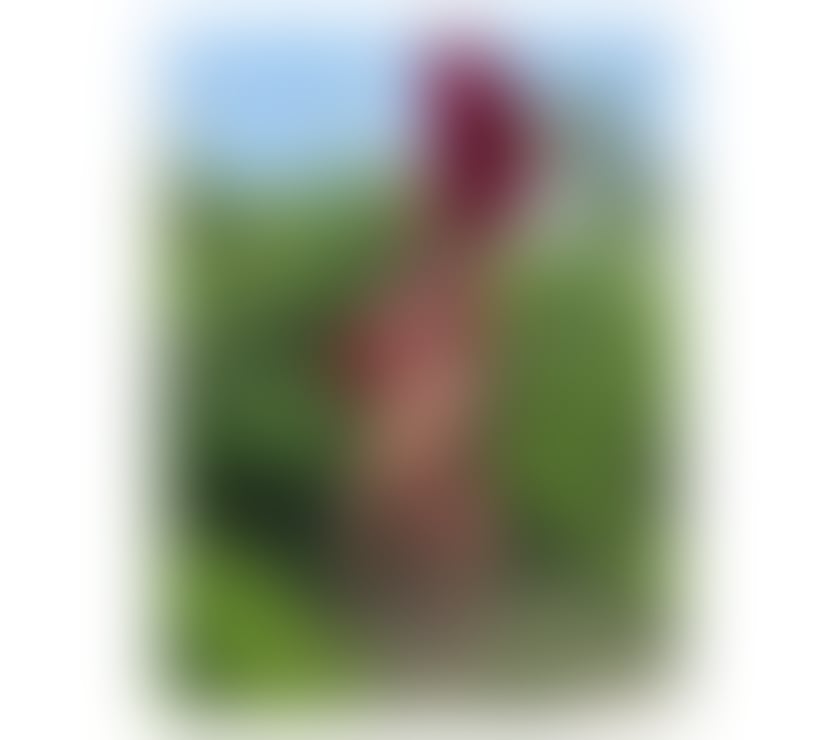 TS ÍNDIA CAVALONA HOT , PARTY 🎊🥂🎉