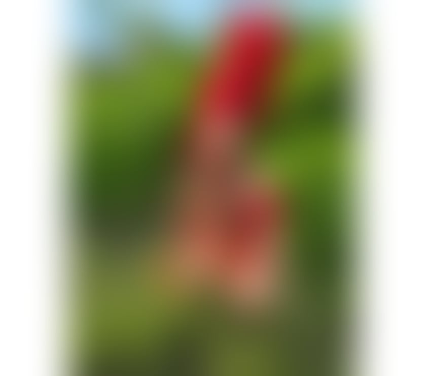 Escorts Essex Basildon - Photos for TS ÍNDIA CAVALONA HOT , PARTY 🎊🥂🎉