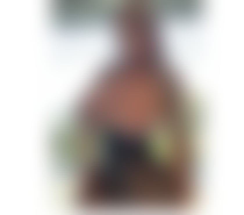 Escorts South West London Sutton - Photos for SPICE 🥵🥵🤤🤤LATINA NEW IN TOWN OWO PARTY 🥳