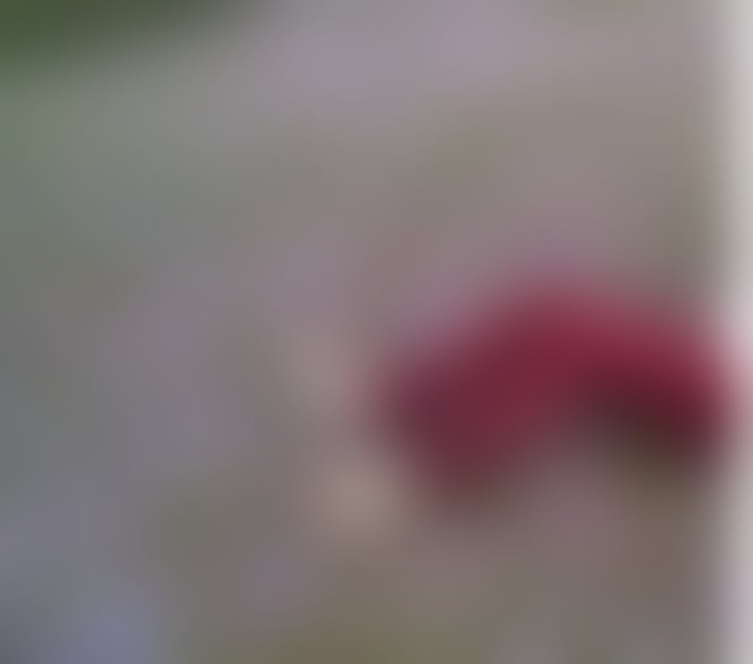 casual encounters King`s Lynn King's Lynn and West Norfolk - Photos for Looking For Women