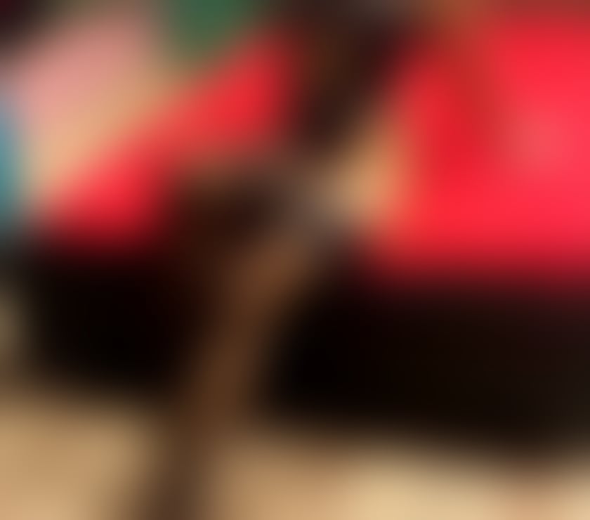 Escorts West Midlands Walsall - Photos for Aga New Polish girl in Walsall