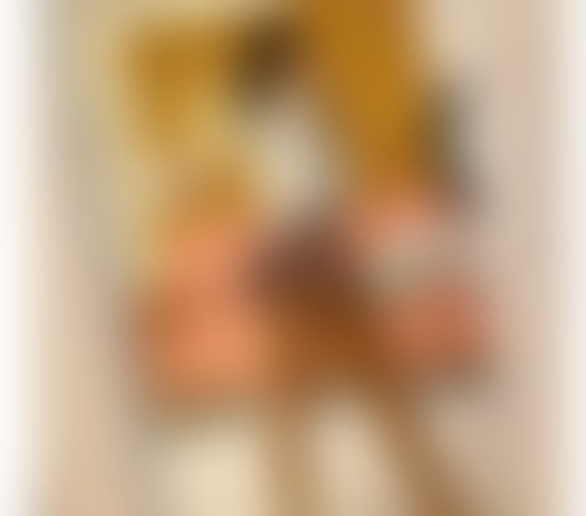 High services best party