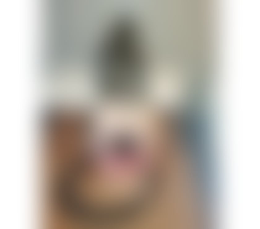 Escorts South East London Croydon - Photos for Now croydon 🌟 Full party girls best experience 🥂