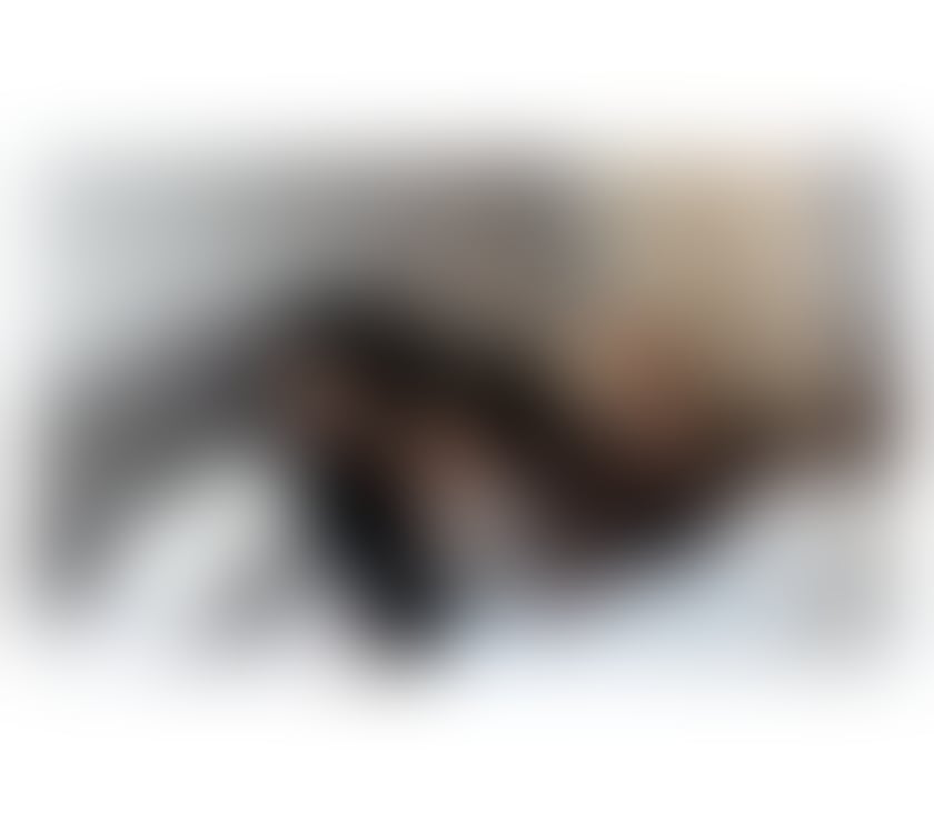  Escorts Paisley Renfrewshire - Photos for New here Latina incall and outcall!