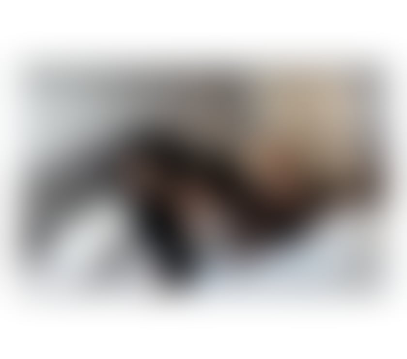 Escorts Stirling Stirling City Centre - Stirling - Photos for New here Latina incall and outcall!