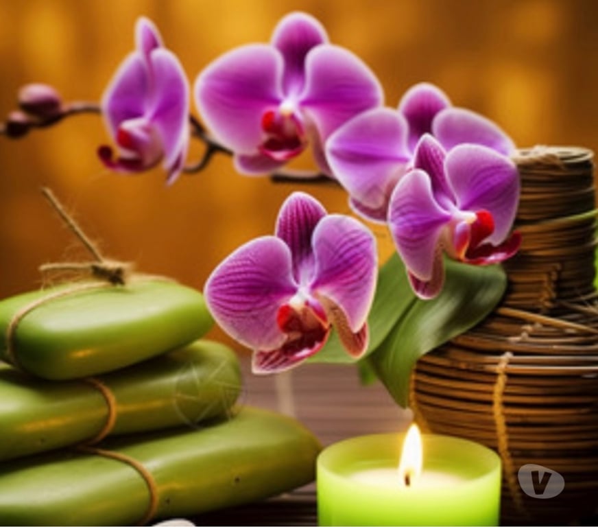 Full body massage North London Holloway Road Station - North London - Photos for Chinese girl &massage