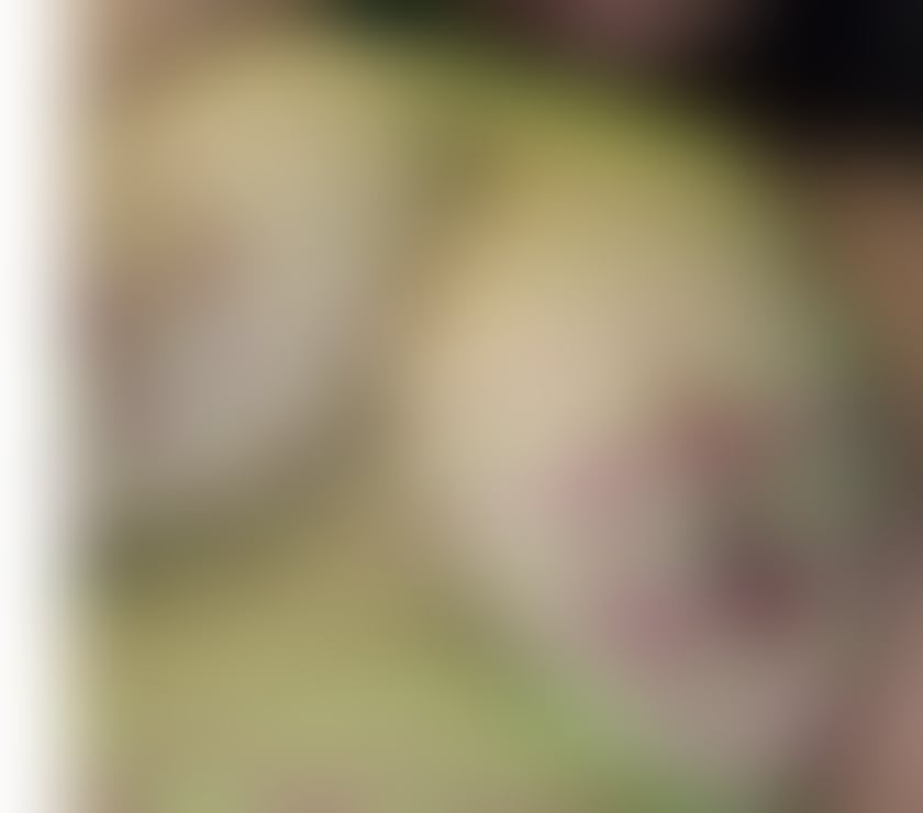 Escorts Greater Manchester Manchester - Photos for SENSUAL MASAGE 😘