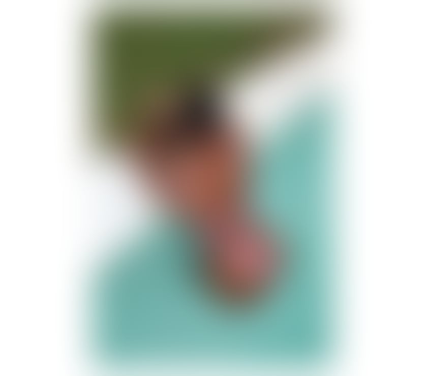 Escorts North Yorkshire Middlesbrough - Photos for Black Ebony ✨️ owo queen.