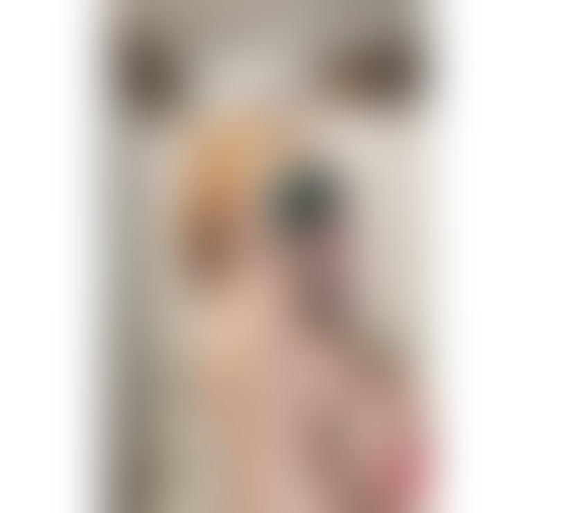 Escorts West Sussex Mid Sussex - Photos for Gorgeous blond new in town!