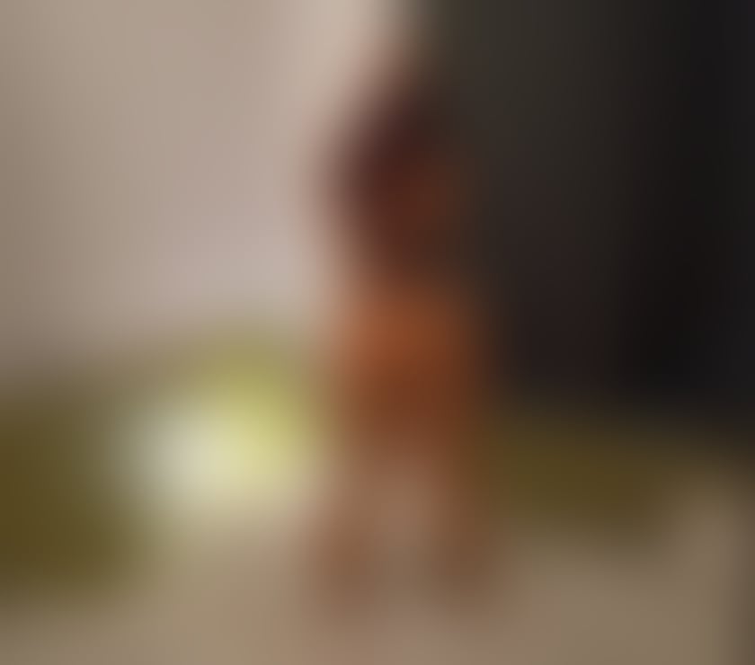 Escorts West Midlands Birmingham - Photos for HI I'M NEW GIRL IN YOUR TOWN BEST SERVICE NO RUSH