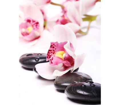 Massage Cricklewood North West London - Photos for Massage Therapy