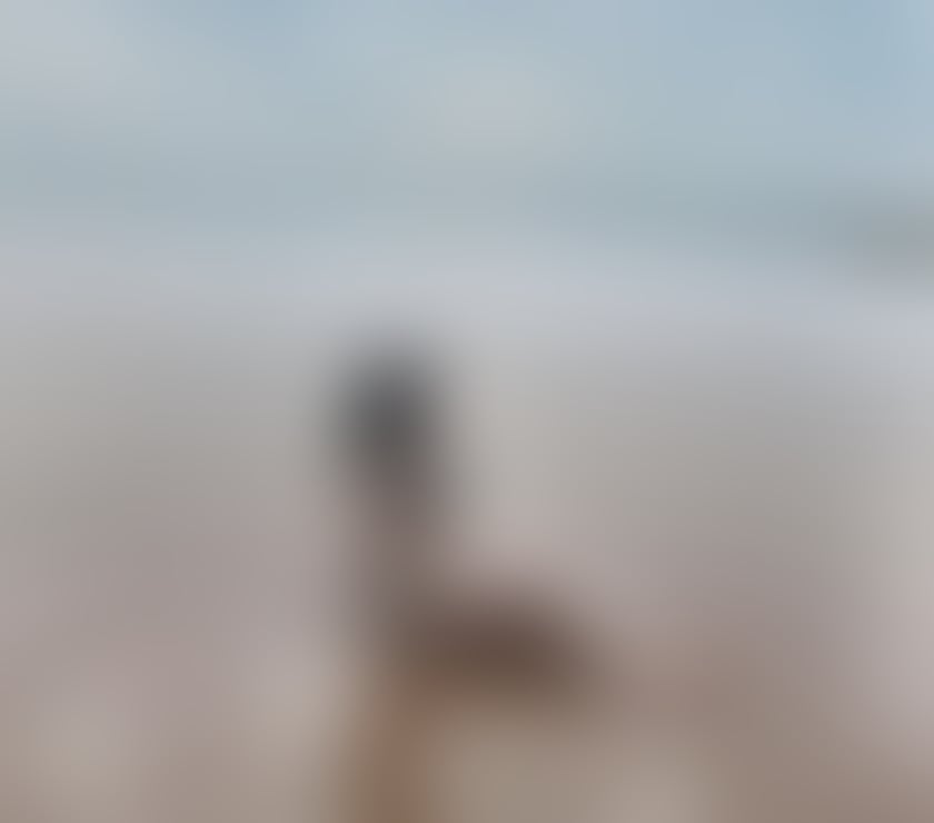 Escorts Merseyside Sefton - Photos for 🌸MIKO🌸ON TOUR 🔥GENUINE🥵HOT & TIGHT🆕 SOUTHPORT